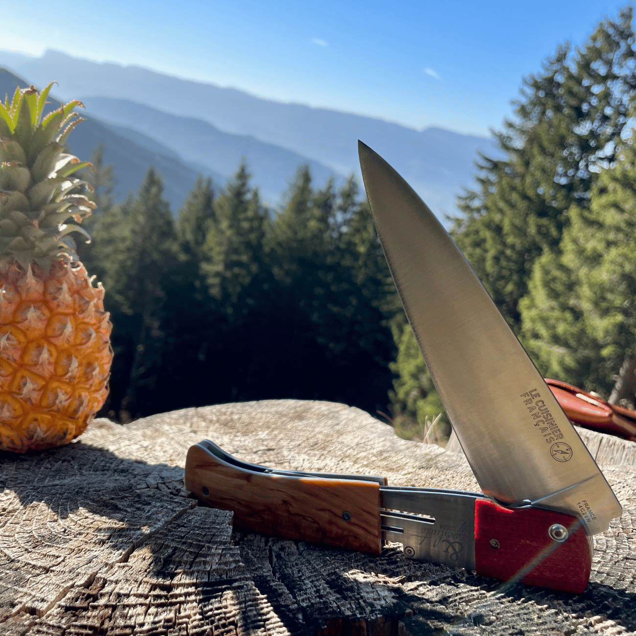 Coffret nomade Esperluète - Le Grand Tétras