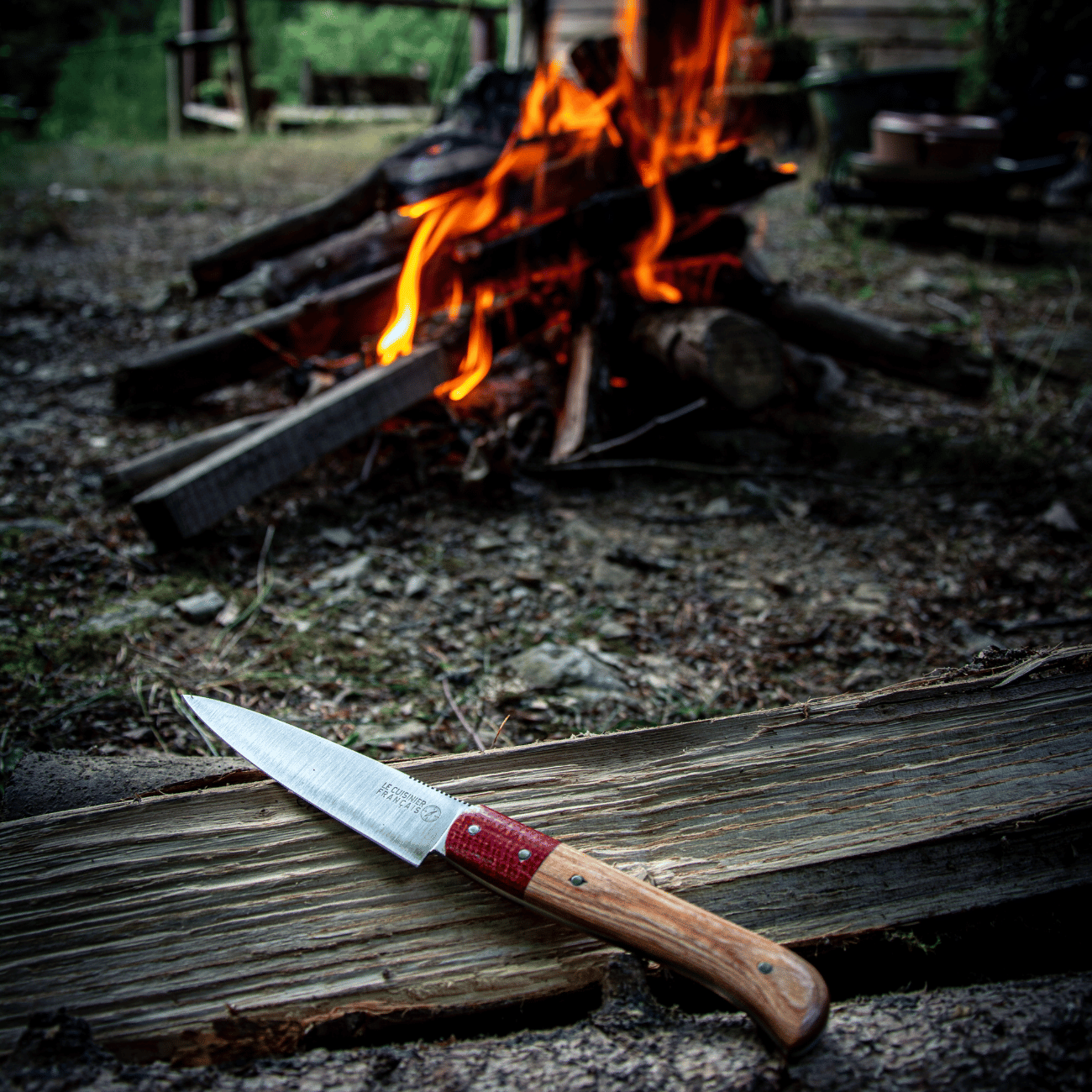 Esperluète de Table - couteau à viande d'exception