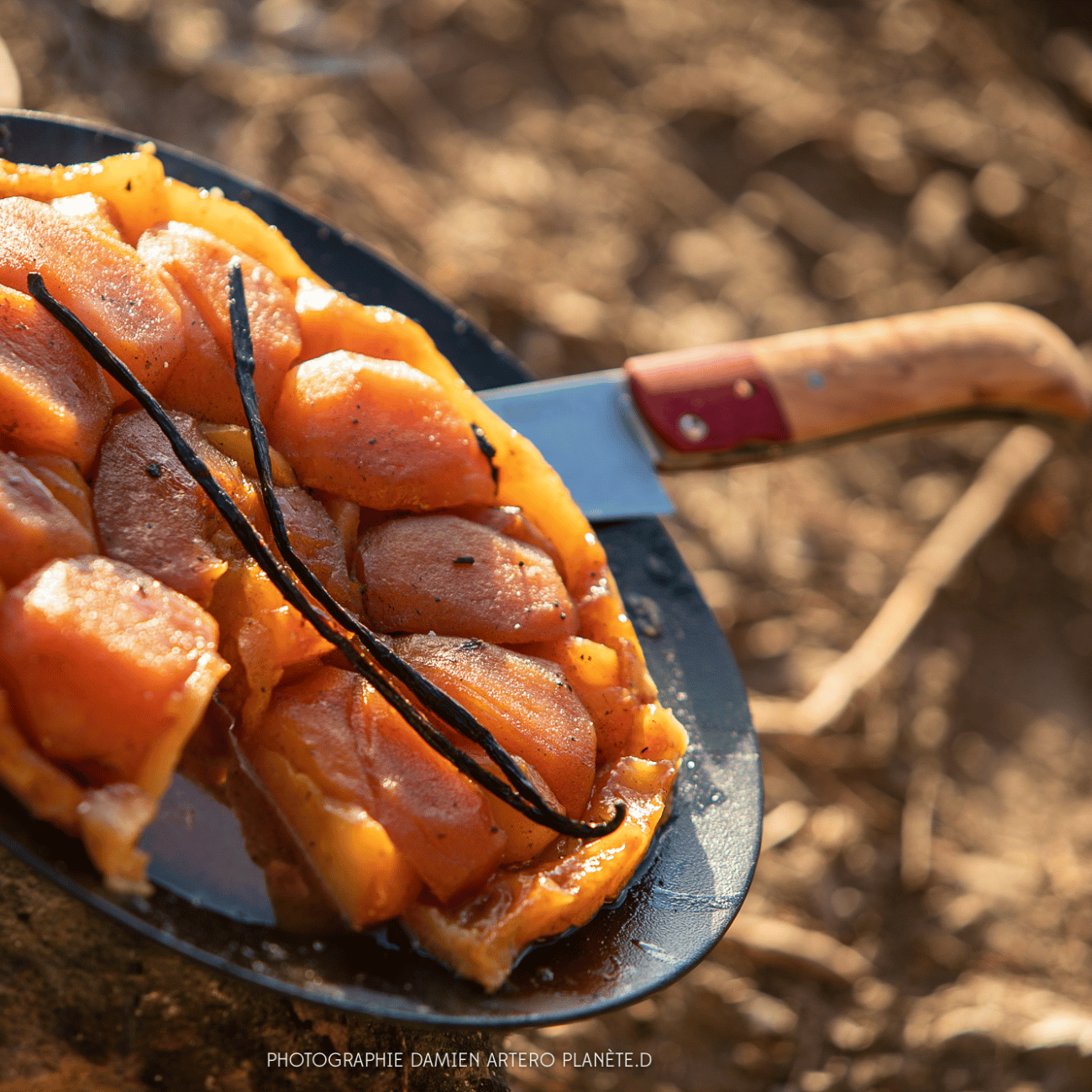 Coffret nomade Esperluète - Le Grand Tétras