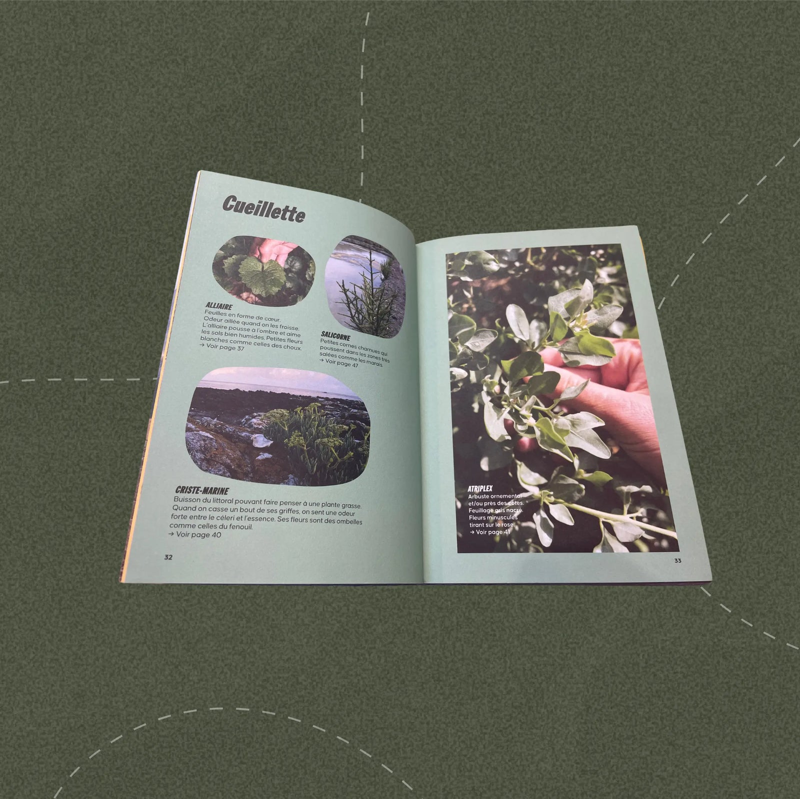 Photos du contenu du livre Bivouac et bonne tambouille